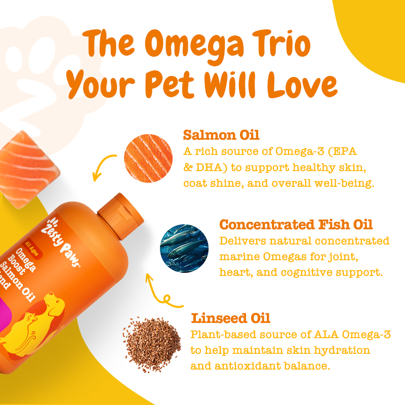 Omega Boost Salmon Oil Blend