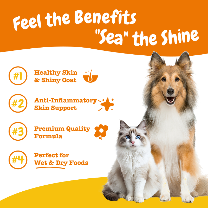 Omega Boost Salmon Oil Blend