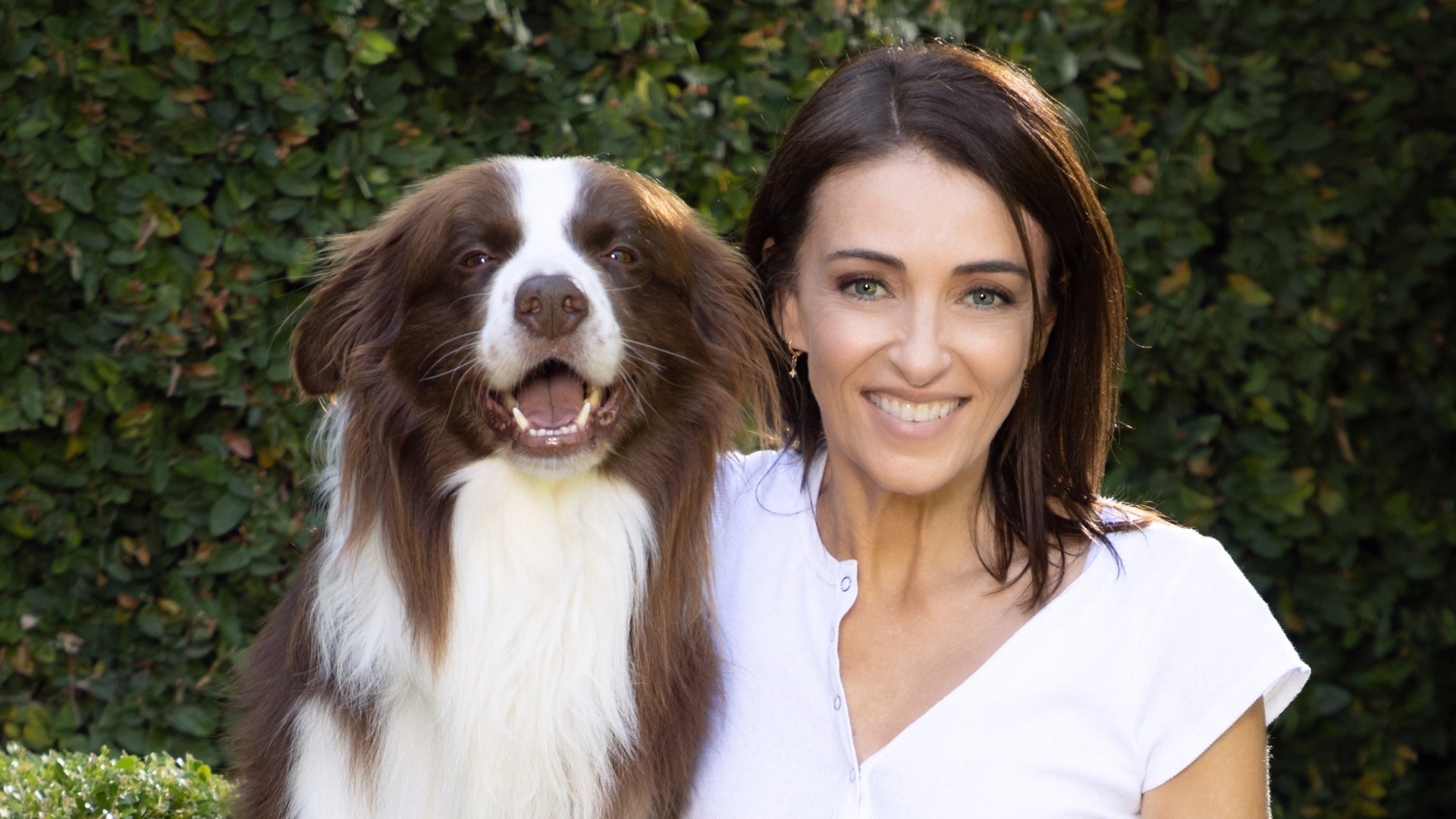 Helping Your Dog Age Well: Early Signs of Joint Pain and What You Can Do