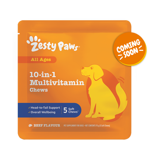 10-in-1 Multivitamin Chews