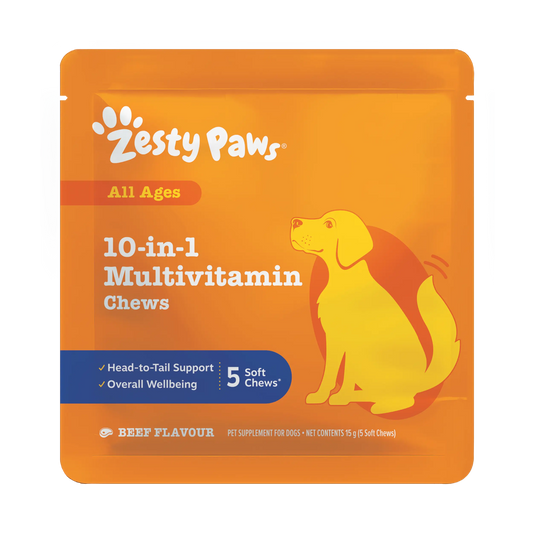 Zesty Paws 10-in-1 Multivitamin Chews for dogs in a beef-flavour orange pouch, featuring a yellow dog illustration and white text on a clean white background.