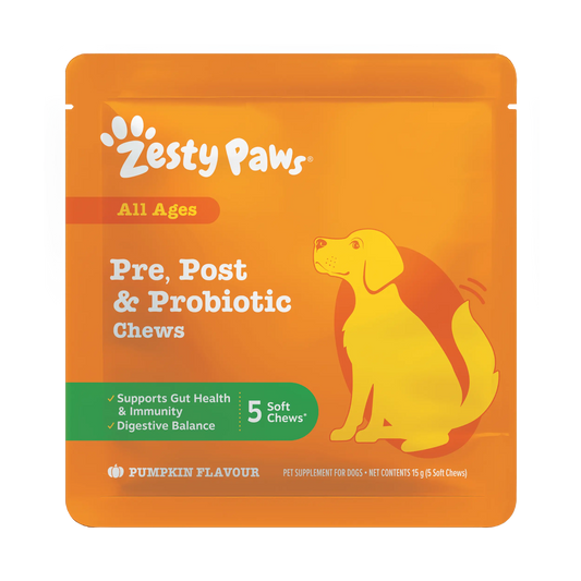Zesty Paws Pre, Post & Probiotic Chews dog supplement pouch in pumpkin flavour, featuring a bright orange background with a yellow dog illustration and white text.