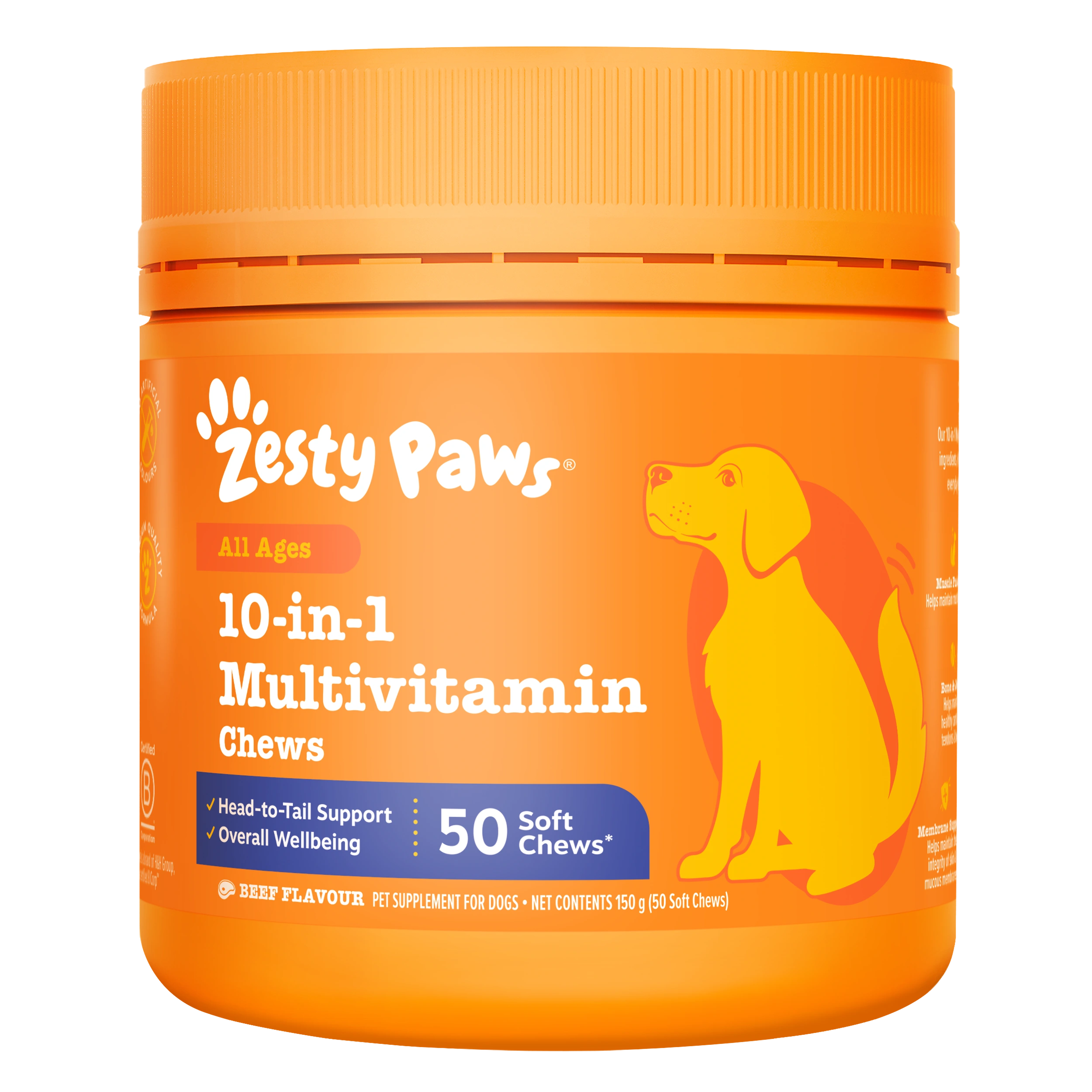 10-in-1 Multivitamin