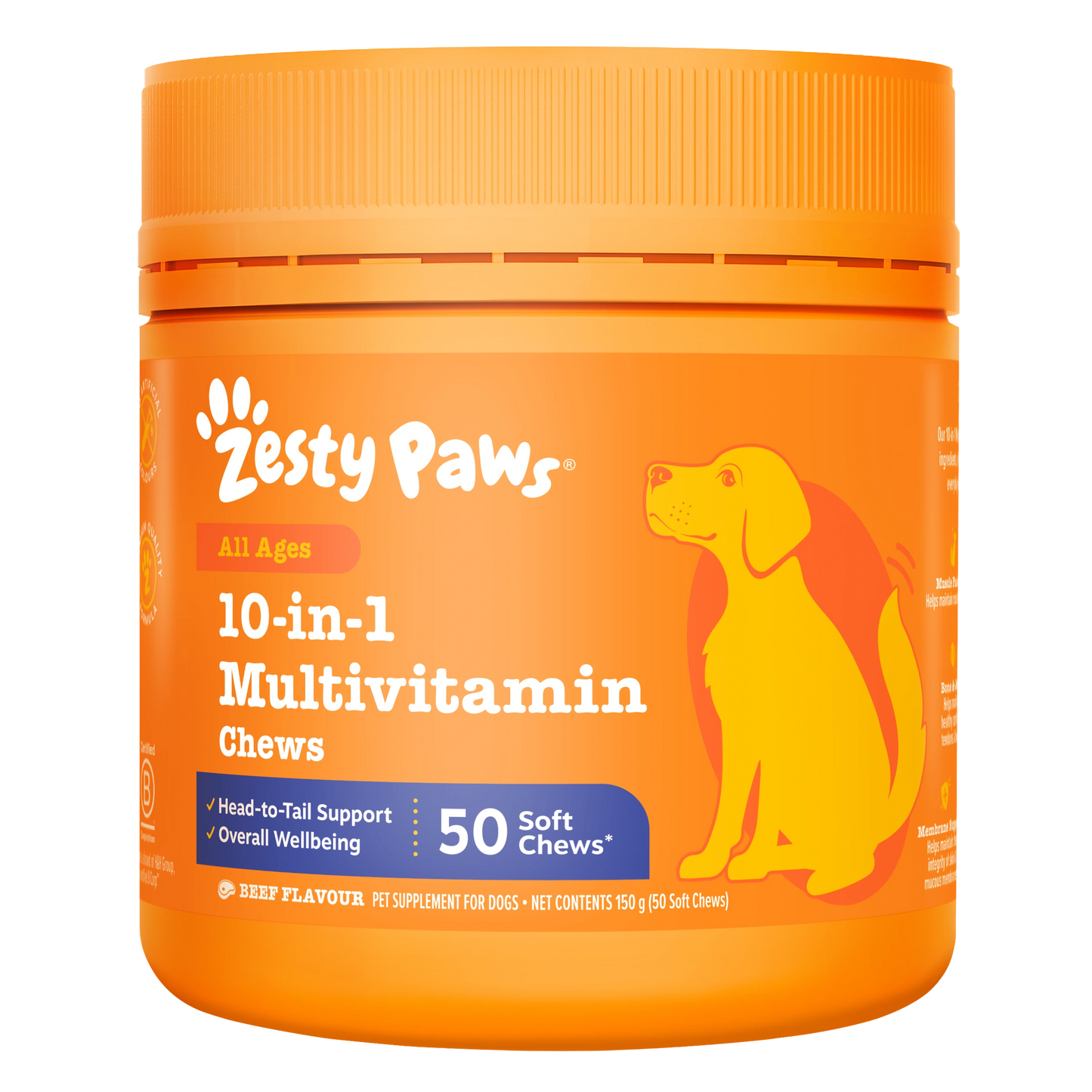 10-in-1 Multivitamin Chews