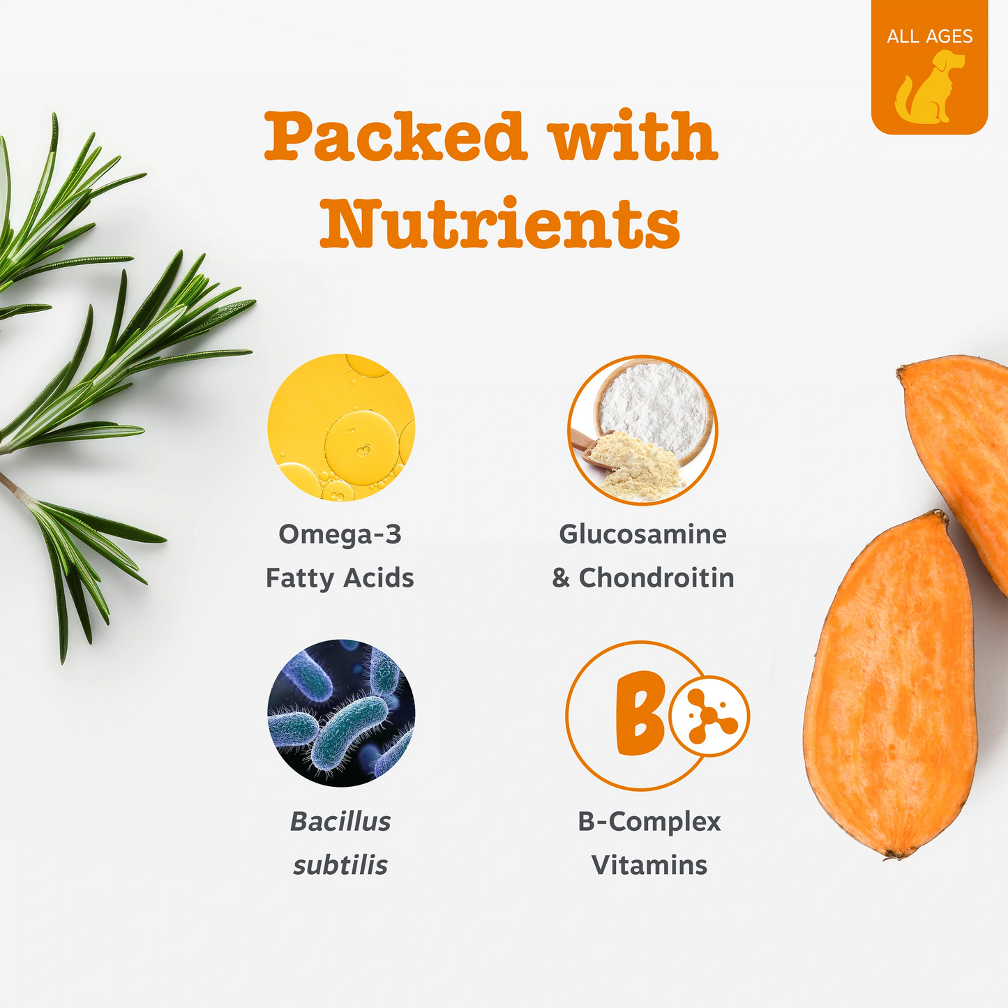 10-in-1 Multivitamin Chews