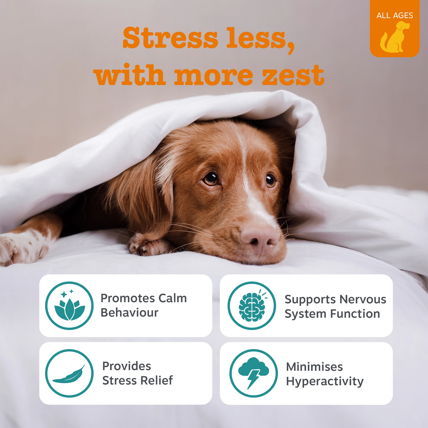 Calming Chews