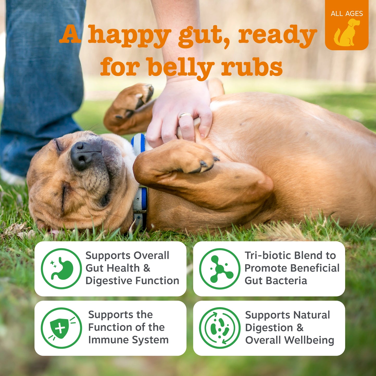 Pre, Post & Probiotic Chews