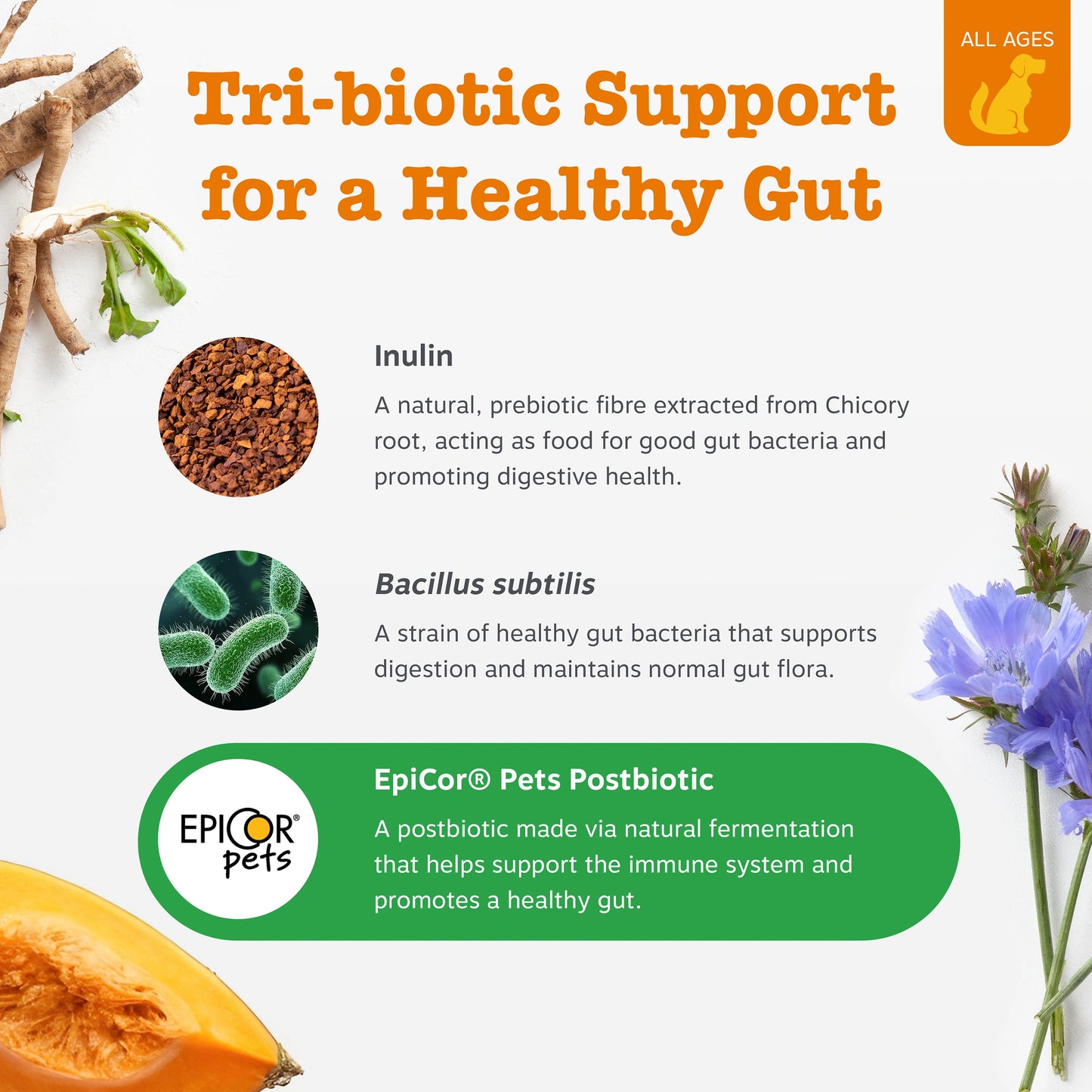 Pre, Post & Probiotic Chews