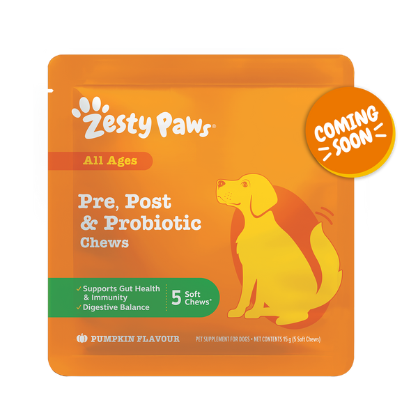 Pre, Post & Probiotic Chews